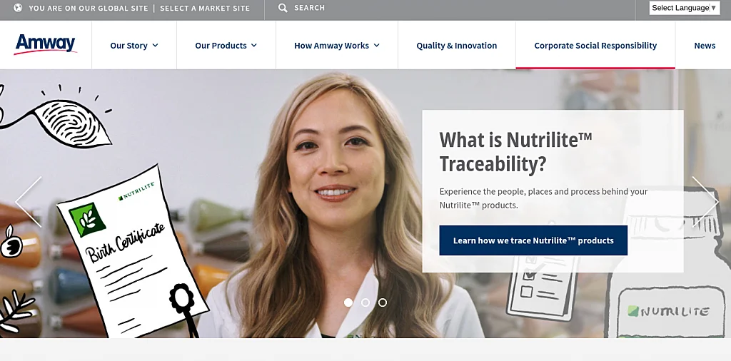 MLM Companies in Germany