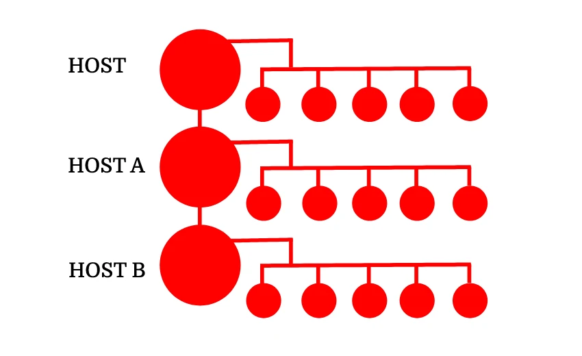 Party Plan MLM Business Model