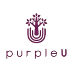 MLM Companies in South Korea